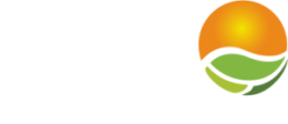 Sefo International
